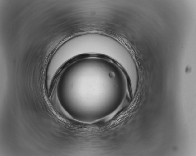 X0000097840097200803141216