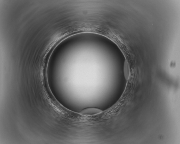 X0000097840098200803141216