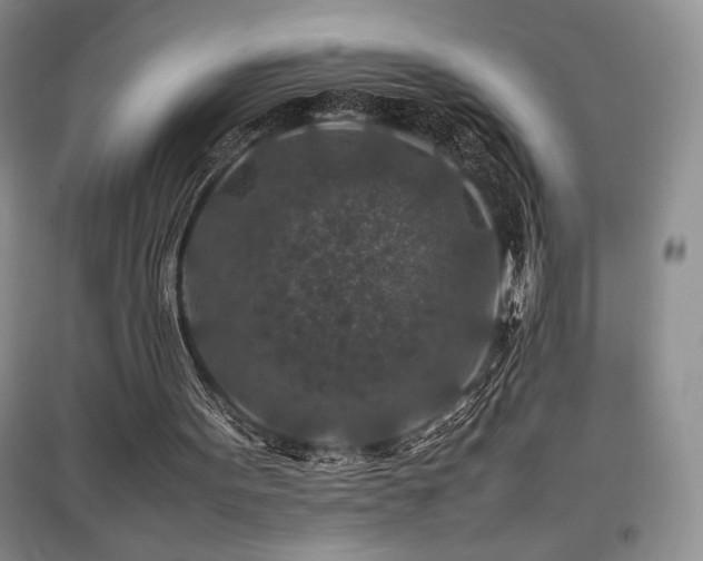 X0000097840099200803141216