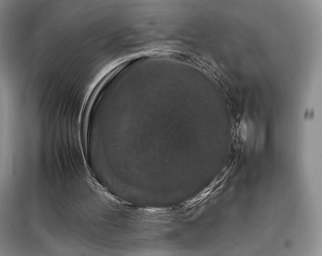X0000097840100200803141216