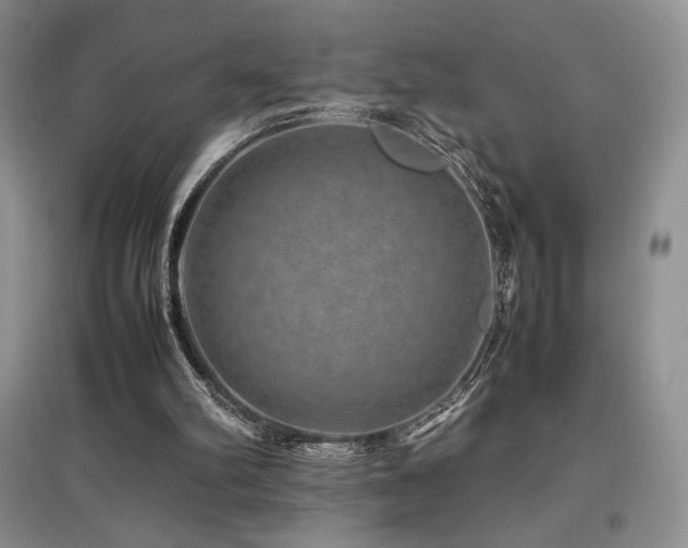 X0000097840102200803141216