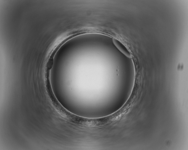 X0000097840103200803141216