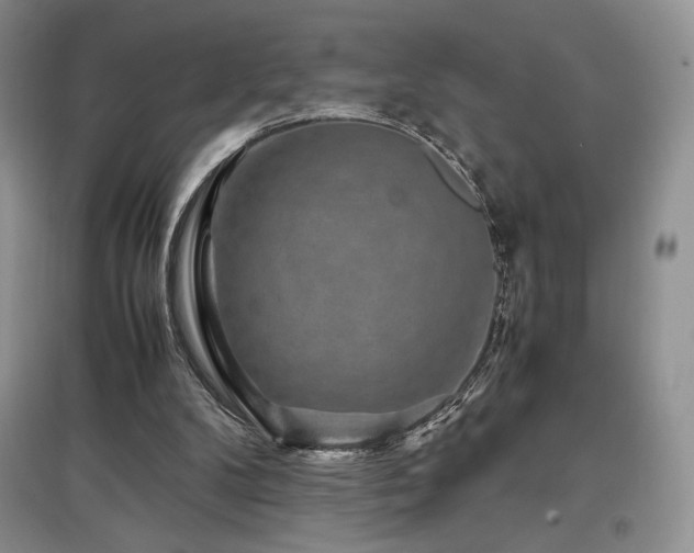 X0000097840104200803141216