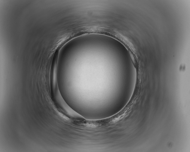 X0000097840105200803141216