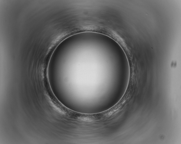 X0000097840106200803141216