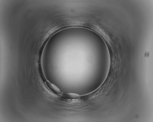 X0000097840107200803141216