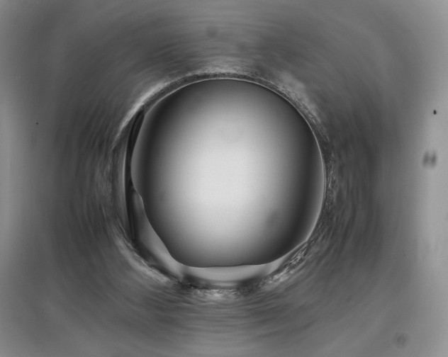 X0000097840108200803141216