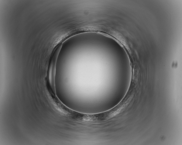 X0000097840109200803141216