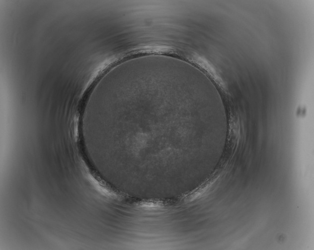 X0000097840110200803141216
