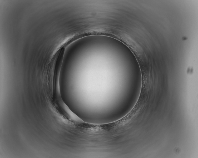 X0000097840112200803141216