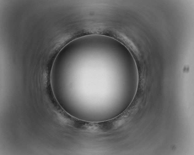 X0000097840113200803141216
