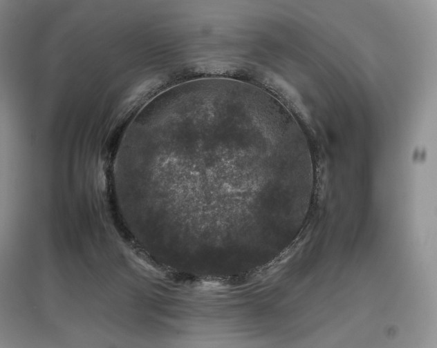 X0000097840114200803141216