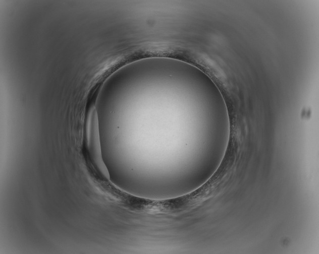 X0000097840115200803141216