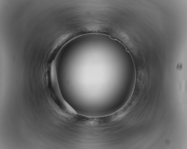 X0000097840116200803141216