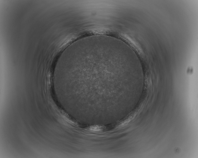 X0000097840117200803141216