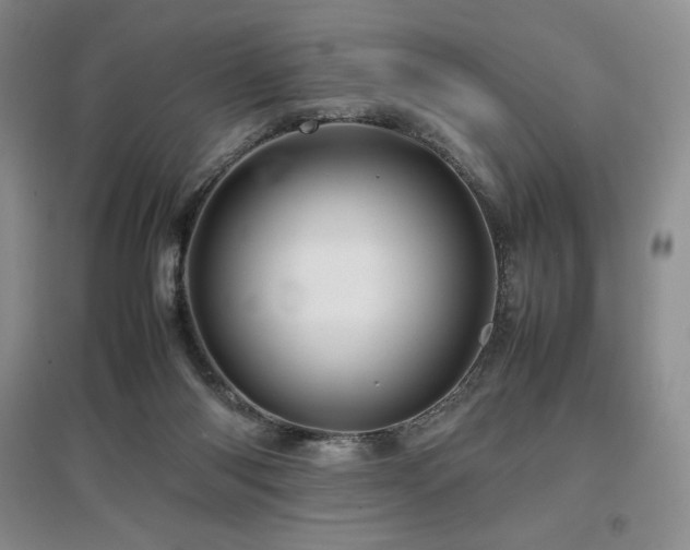 X0000097840118200803141216