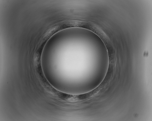 X0000097840119200803141216