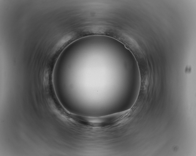 X0000097840120200803141216
