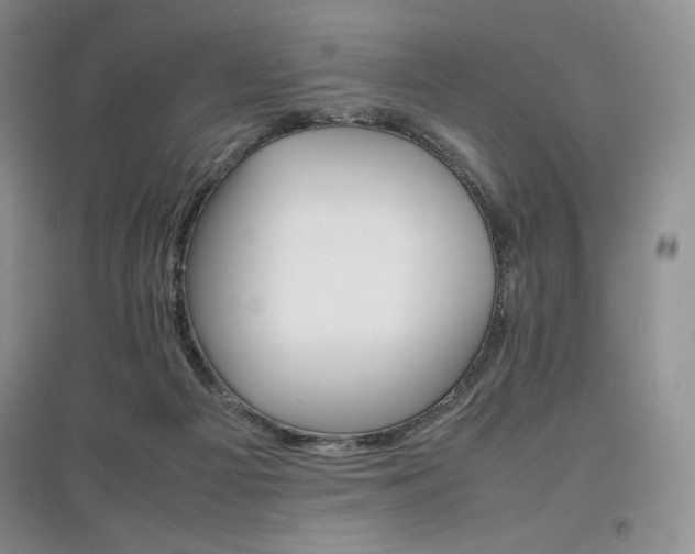 X0000097840121200803141216