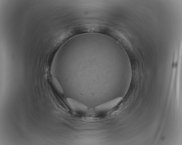 X0000097840123200803141216