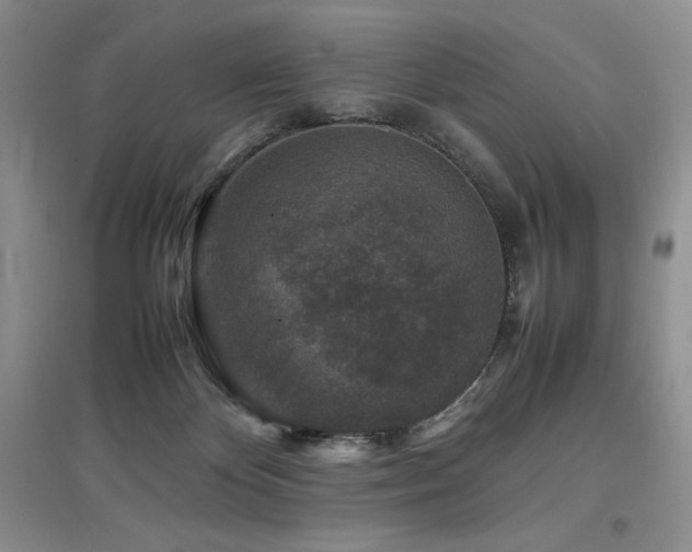 X0000097840124200803141216