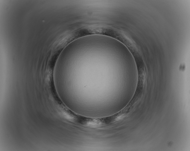 X0000097840125200803141216
