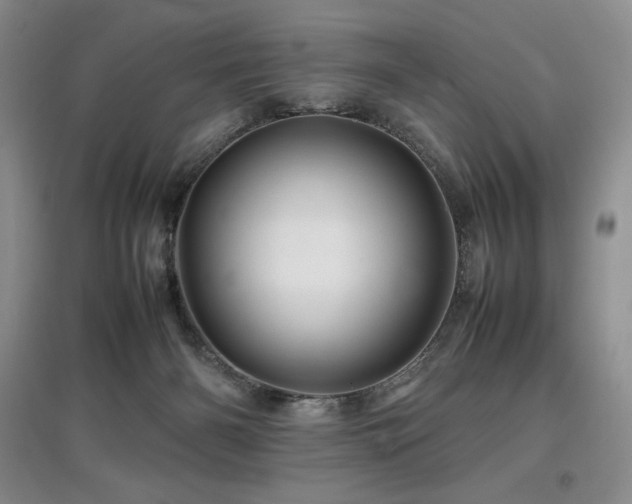 X0000097840126200803141216