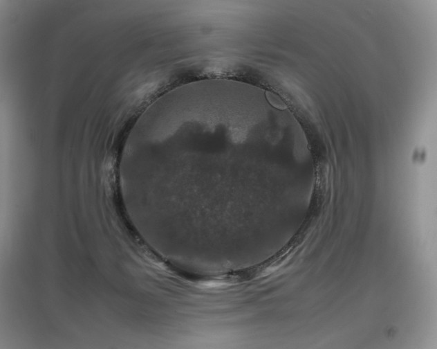X0000097840127200803141216