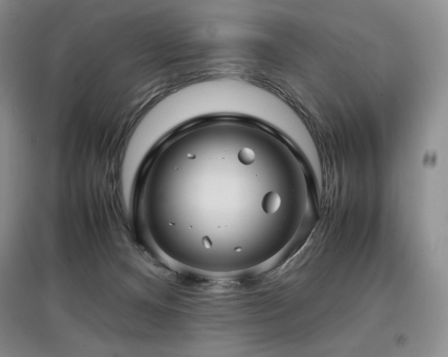 X0000097840128200803141216