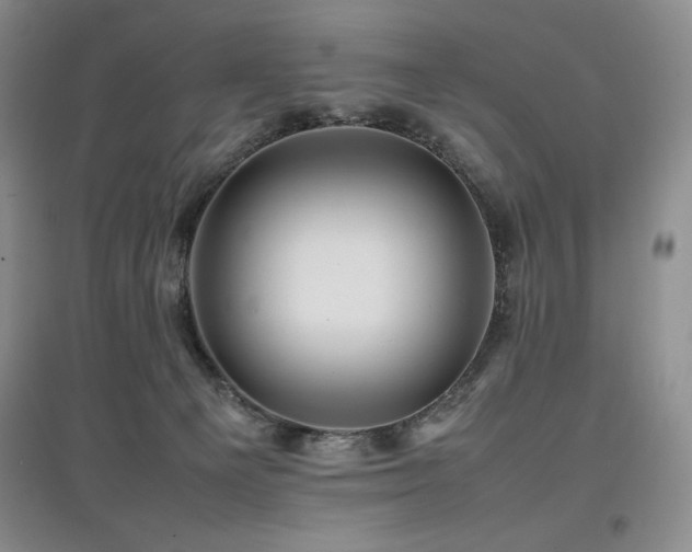 X0000097840129200803141216
