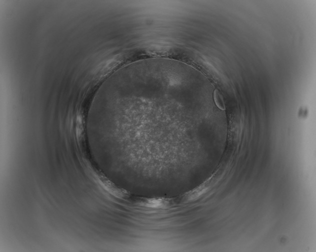 X0000097840130200803141216
