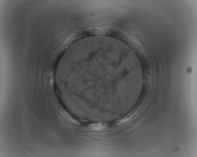 X0000097840131200803141216