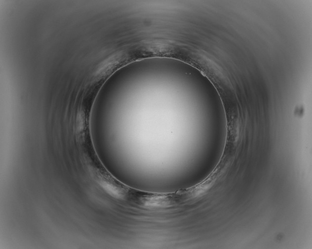 X0000097840132200803141216