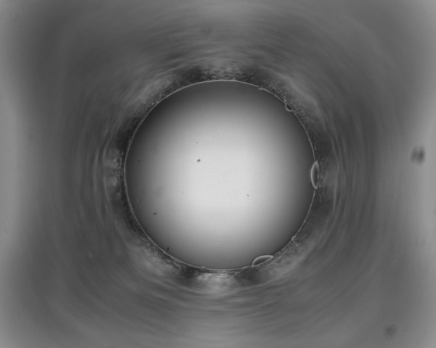 X0000097840133200803141216