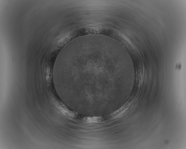 X0000097840134200803141216