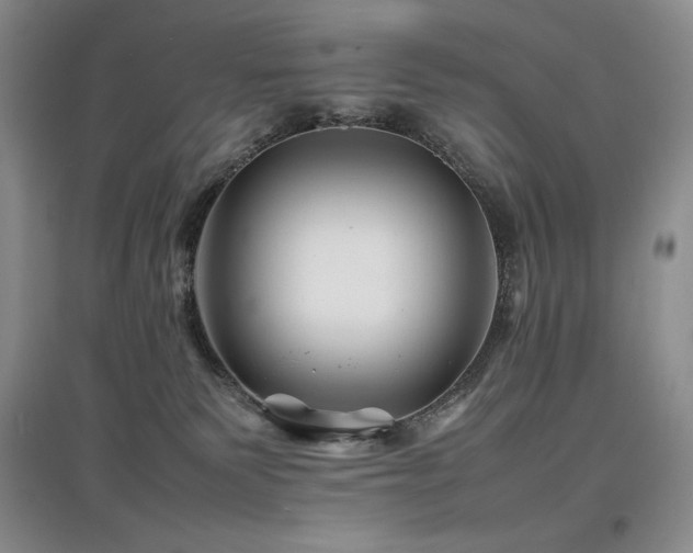 X0000097840135200803141216