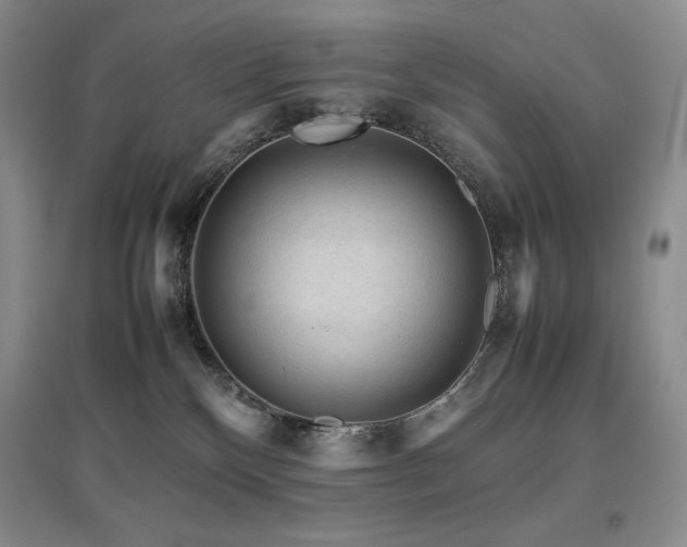 X0000097840136200803141216