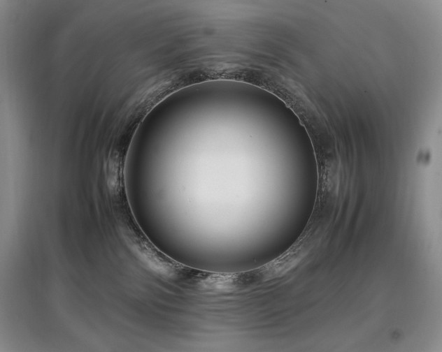 X0000097840138200803141216