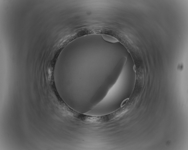X0000097840139200803141216