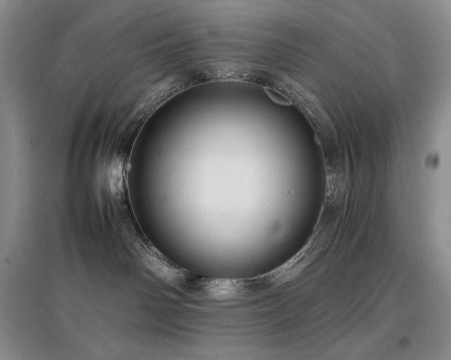 X0000097840142200803141216