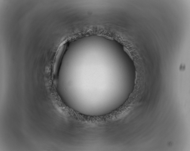 X0000097840144200803141216