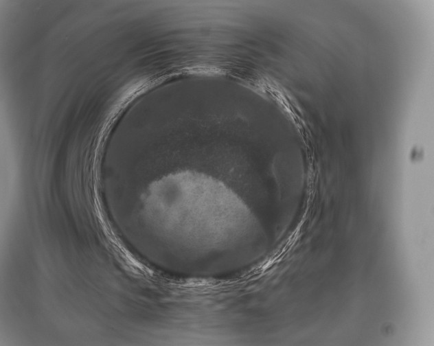 X0000097840145200803141215