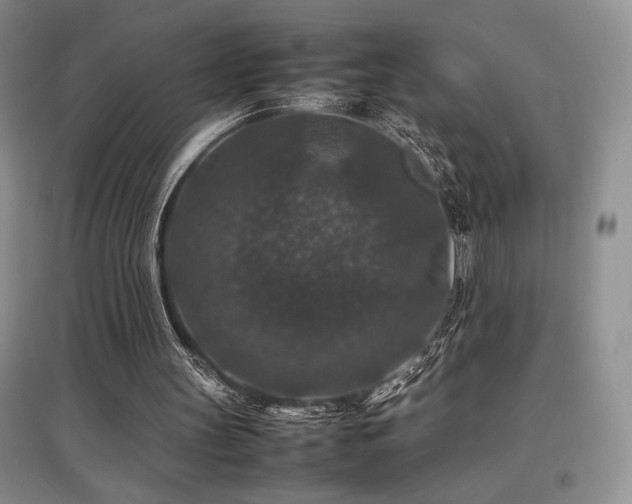 X0000097840147200803141215