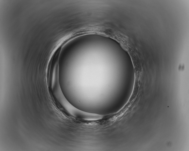 X0000097840148200803141215
