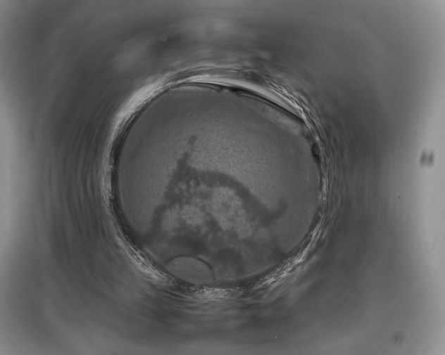 X0000097840149200803141215