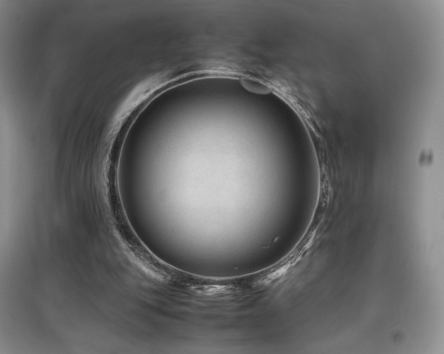 X0000097840151200803141215