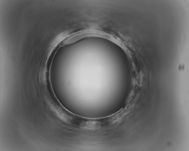 X0000097840152200803141215