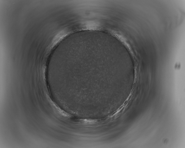 X0000097840154200803141215
