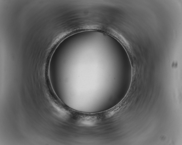 X0000097840155200803141215