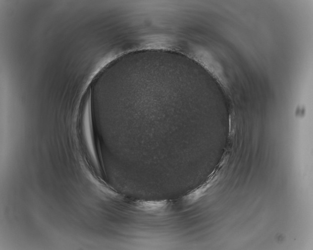 X0000097840156200803141215